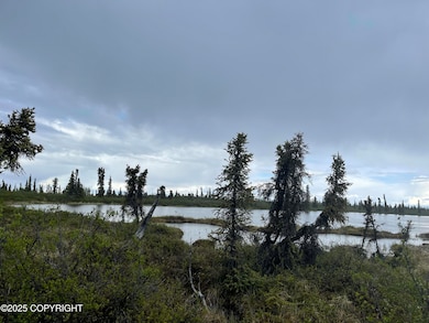 Tract J Old Lake Louise (Trail) Rd, Glennallen, AK 99588 - photo 4
