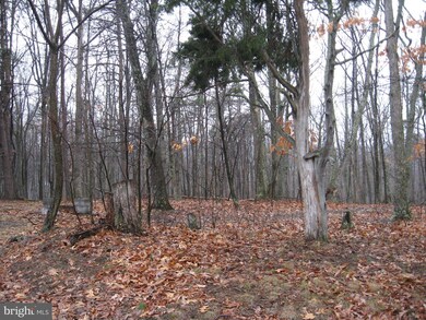 9 Deerwood Ln, Berkeley Springs, WV 25411 - photo 7