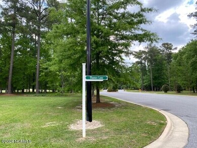 100 Thames Ln, Chocowinity, NC 27817 - photo 4