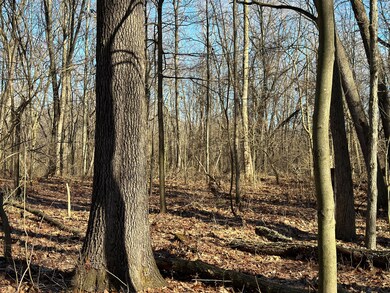 0 S 15th St, Niles, MI 49120 - photo 4