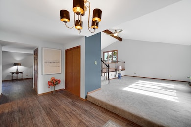 13226 Farm View St, Homer Glen, IL 60491 - photo 3