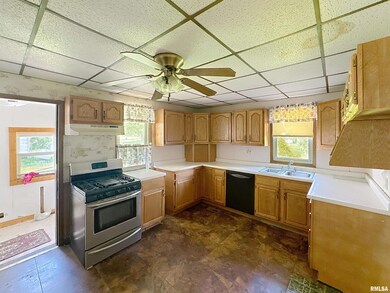 409 N Ridge St, Cambridge, IL 61238 - photo 6