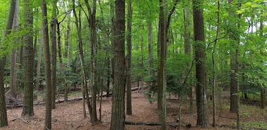 Lot 128 Octopus Rd unit 128, Greenbackville, VA 23356 - photo 2