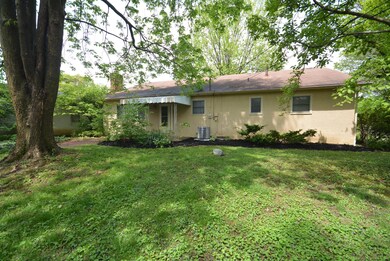 Rear Elevation