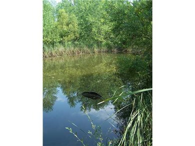 Other Pond