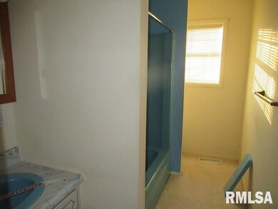 1103 Brook Ln, Harrisburg, IL 62946 - photo 6