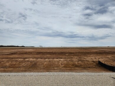 181 Lonicera Ln, Paradise, TX 76073 - photo 5