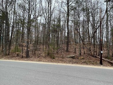 Map 36 Lot 72 A Varney Rd, Barnstead, NH 03225 - photo 7