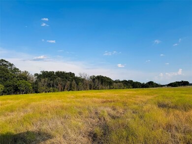 View of local wilderness