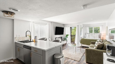 1380 Ski View Dr unit 1106, Gatlinburg, TN 37738 - photo 6