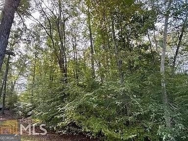 171 Bluegill Rd, Eatonton, GA 31024 - photo 5