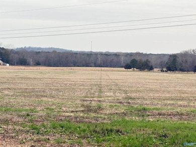 32 Acres Hogan Rd, Falkville, AL 35622 - photo 4