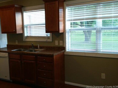 906 E Newkirk St, Tuscola, IL 61953 - photo 6