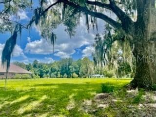 TBD NE 49th St, Williston, FL 32696 - photo 3