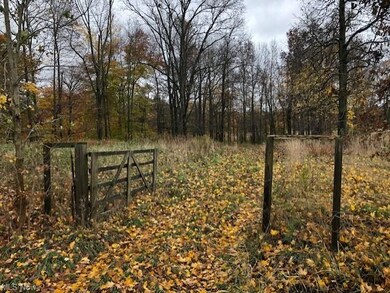 4332 Wilkes Rd, Rootstown, OH 44272 - photo 4