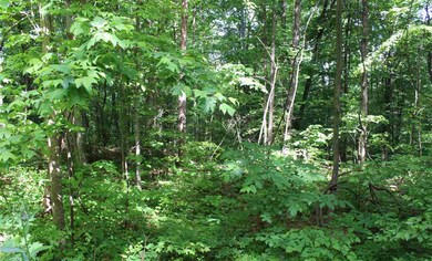 Sec 2Lots 8 & 9 Circle Rd, Stanardsville, VA 22973 - photo 4