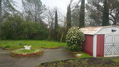 Storage Shed in backyard