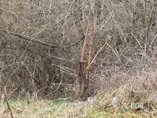 15750 Bryson Rd, Millfield, OH 45761 - photo 2