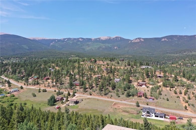 272, 298 & 310 Wise Rd, Bailey, CO 80421 - photo 2