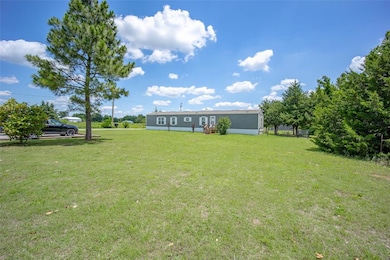 View of grassy yard
