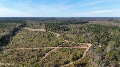 0 County Road 1327, Philadelphia, MS 39350 - photo 2