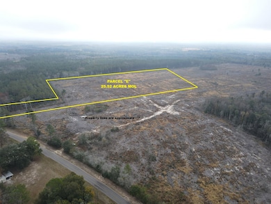 25 acres Goat Hill Rd, Samson, AL 36477 - photo 2