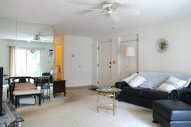 220 Fellsview Terrace unit 224, Stoneham, MA 02180 - photo 7