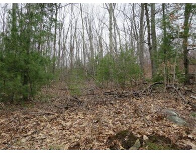 0 Ely Rd unit 71664406, Monson, MA 01057 - photo 2