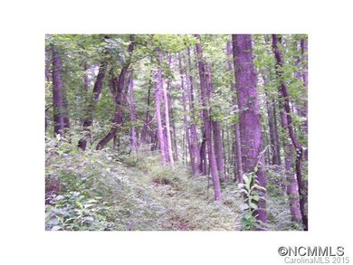 Large Hardwoods