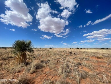 5494 Glasglow Dr, Snowflake, AZ 85937 - photo 4