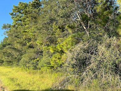 0 Continental Pkwy unit 60798783, Humble, TX 77346 - photo 4