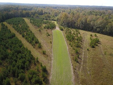 732 acre U S Highway 82, Eufaula, AL 36027 - photo 5