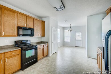 3919 Ashleaf Pecan, San Antonio, TX 78261 - photo 6