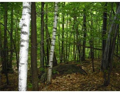 Land/Lot.