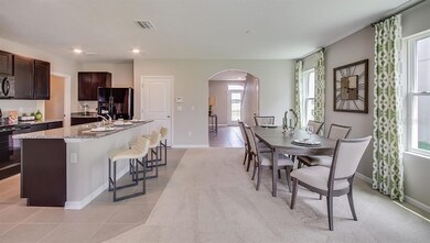 10845 Trailing Vine Dr, Tampa, FL 33610 - photo 5