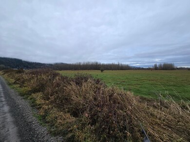 255xx NE 138th St, Duvall, WA 98019 - photo 5