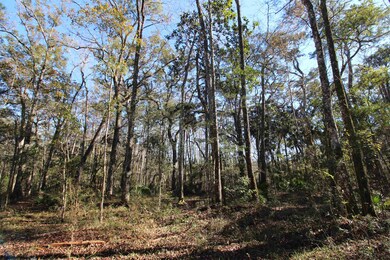 xx Keerns Dr, Crawfordville, FL 32327 - photo 2