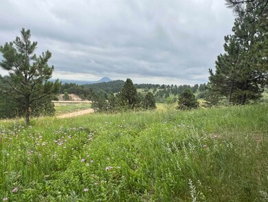 Lot 30 Summit Pass unit Dakota Highland Esta, Whitewood, SD 57793 - photo 4