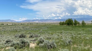 IMG_0450