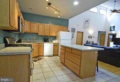 203 Limestone Ln, Locust Grove, VA 22508 - photo 7