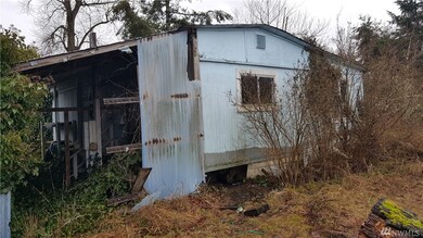 9105 Mountain View Rd SE, Yelm, WA 98597 - photo 3