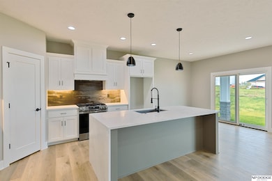 20126 U St, Omaha, NE 68135 - photo 4