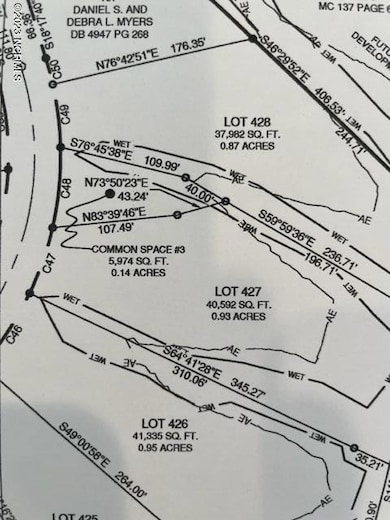 Lot 427