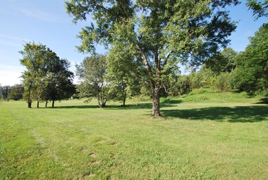Acreage well maintained and mowed for easy viewing
