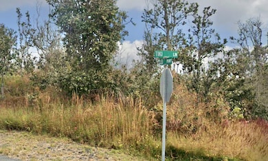 0 Tiki Ln unit 726301, Ocean View, HI 96737 - photo 6