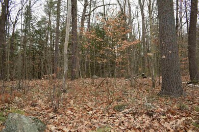 00 Blake Rd unit 8, Moultonborough, NH 03254 - photo 5