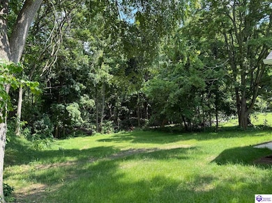 829 Old State Rd, Brandenburg, KY 40108 - photo 7