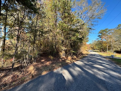 0 Waldrop Rd unit 25509282, Ashville, AL 35953 - photo 7