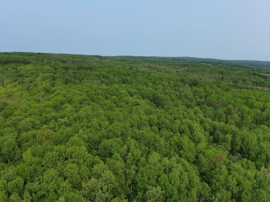 0 Lynch Rd unit 24758516, Newport, NY 13416 - photo 2