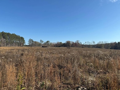 159 D B Williamson Rd # B, Louisville, MS 39339 - photo 2